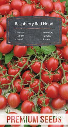 Tomate Raspberry Red Hood – Samen