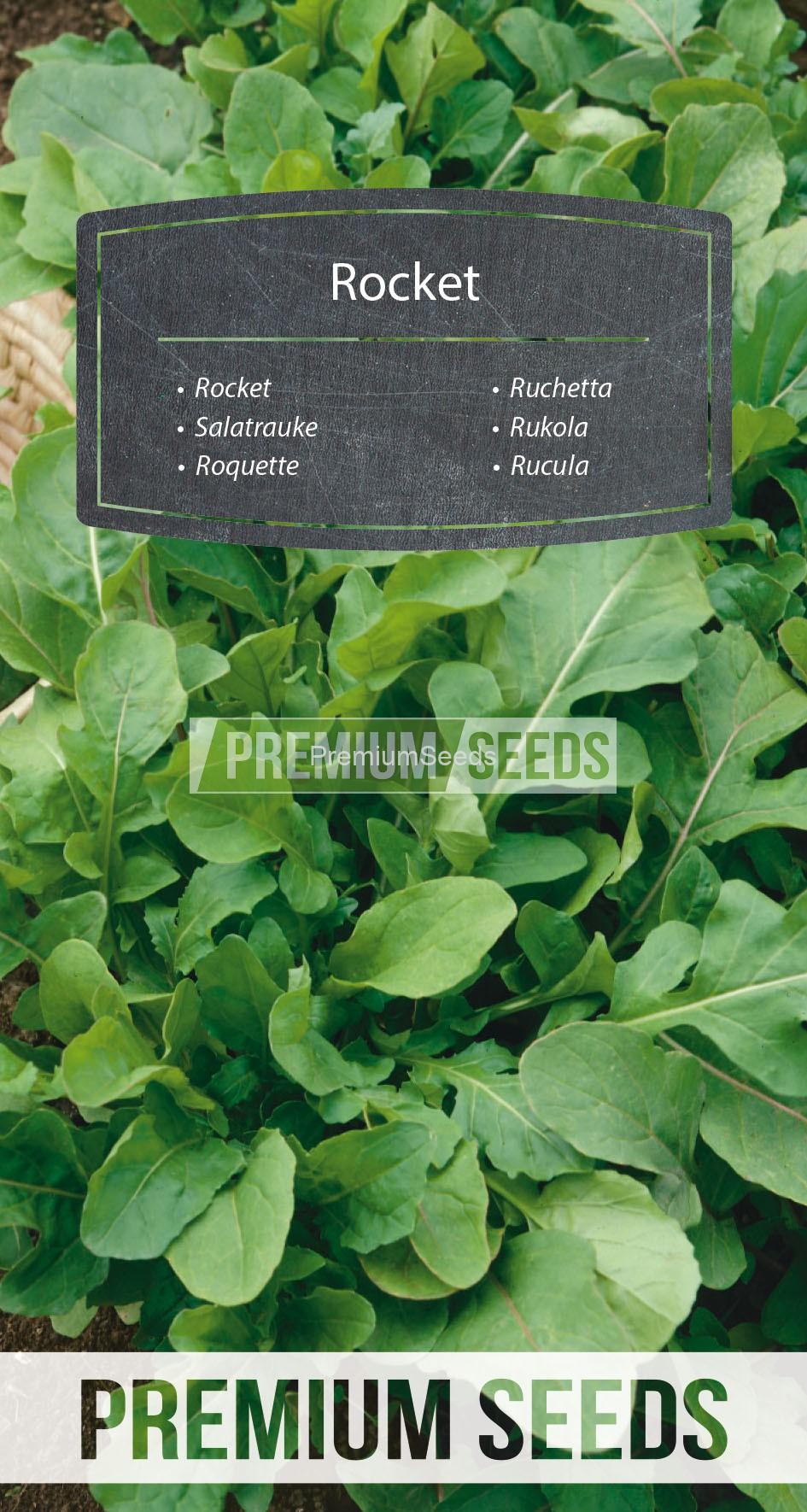 30_WORLD G4701262_RGB_VS Rúcula - semillas