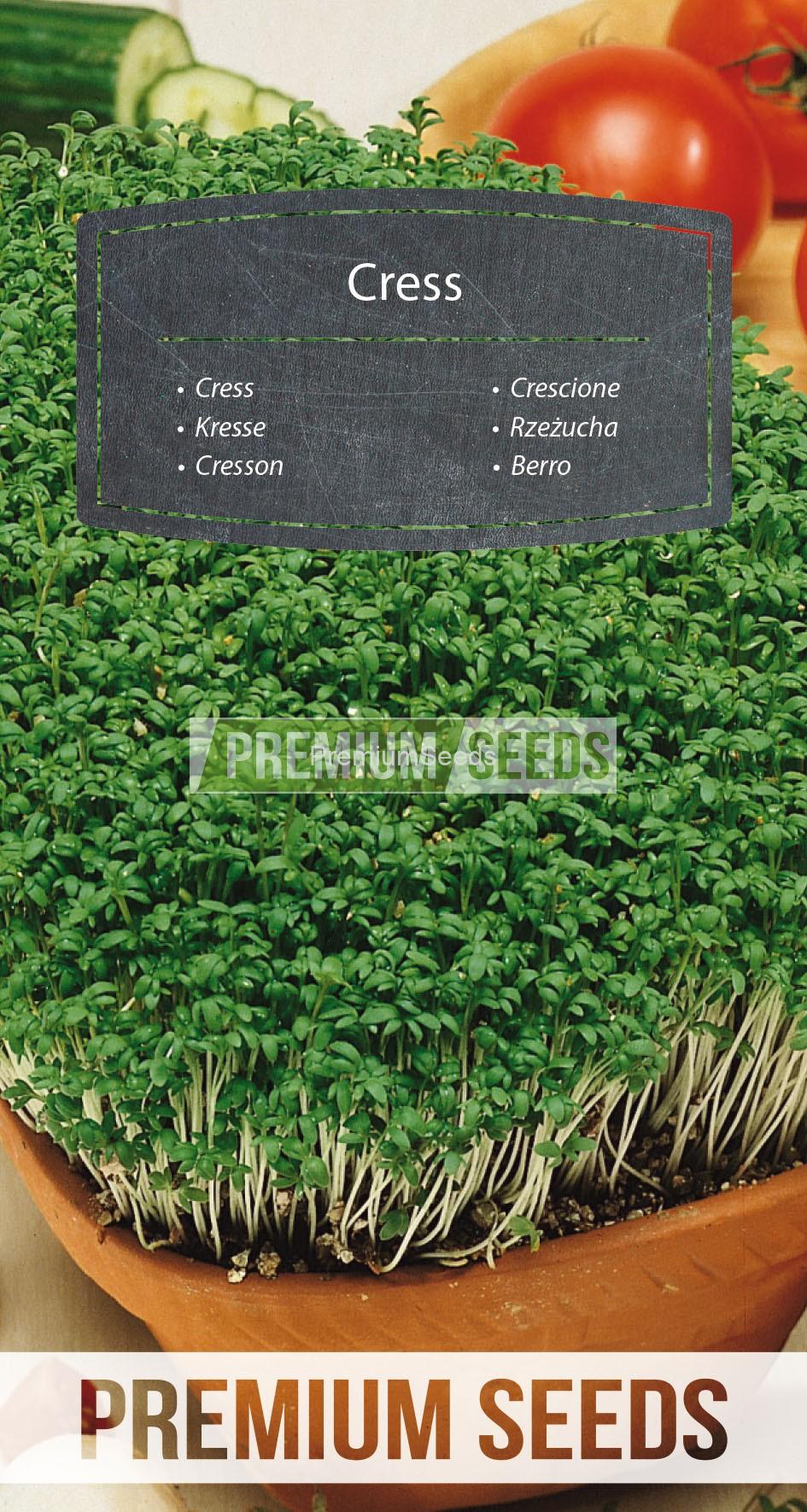 32_WORLD G4700026_RGB_VS Gartenkresse - Samen