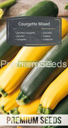 Courgette - mélange de variétés - semences