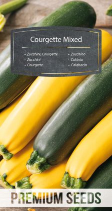 Zucchini - Mischung verschiedener Sorten - Samen