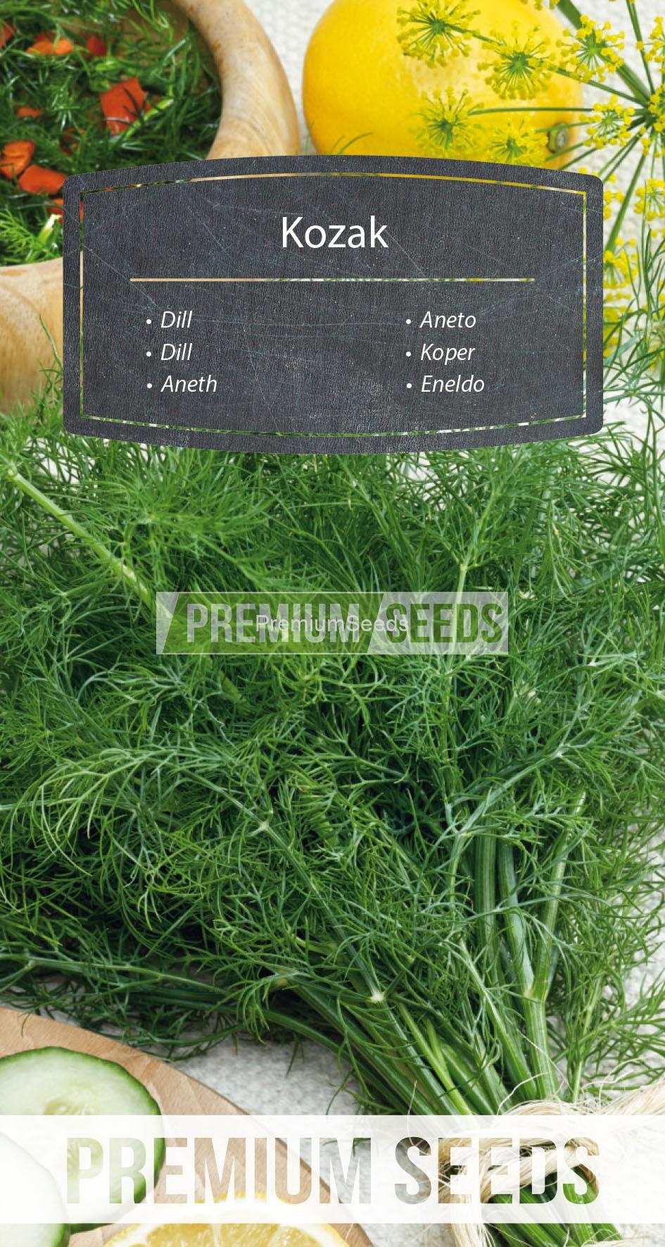 58_WORLD N1709681_RGB_VS Aneth Kozak - semences