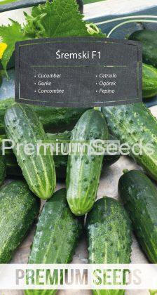 Concombre Śremski F1 - semences