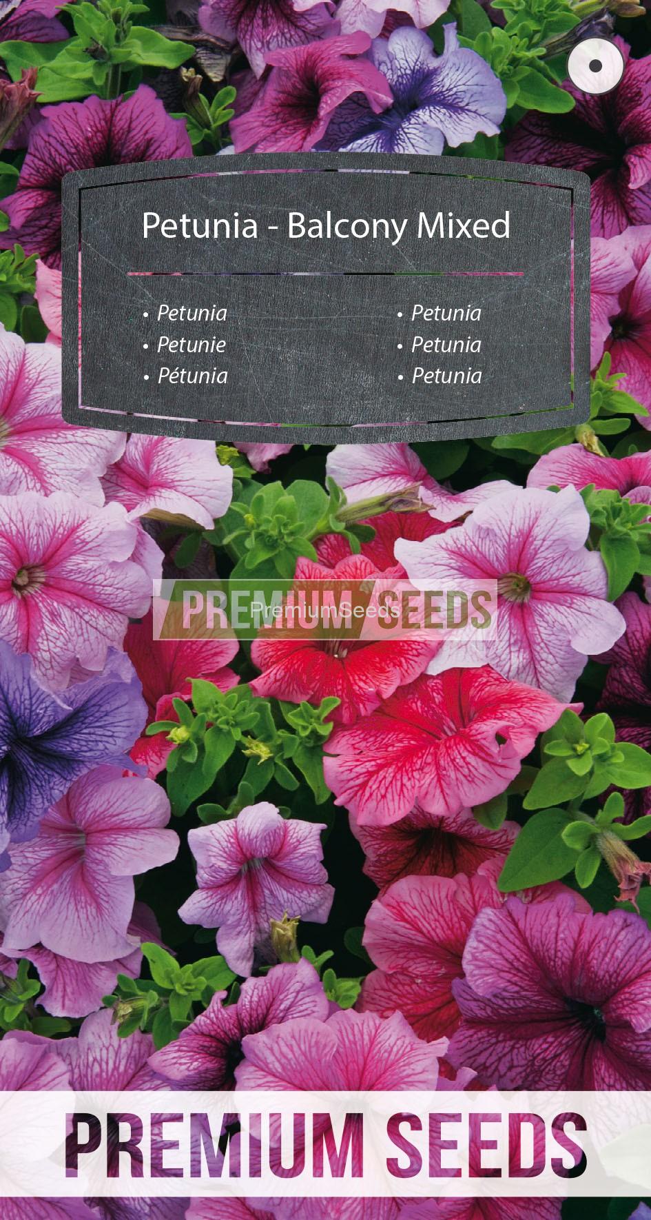 70_WORLD 14234466_RGB_VS Petunia de los balcones - mezcla - semillas