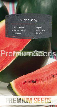Sandía Sugar Baby - semillas