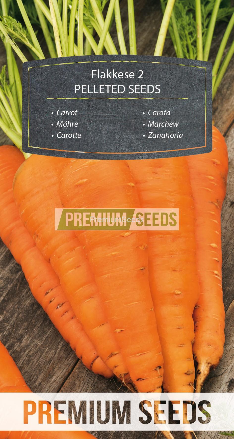 80_WORLD 14312460_RGB_VS Carota Flakkese 2 - SEMI PELLETTATI