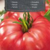 Pomodoro Raspberry Giant - semi