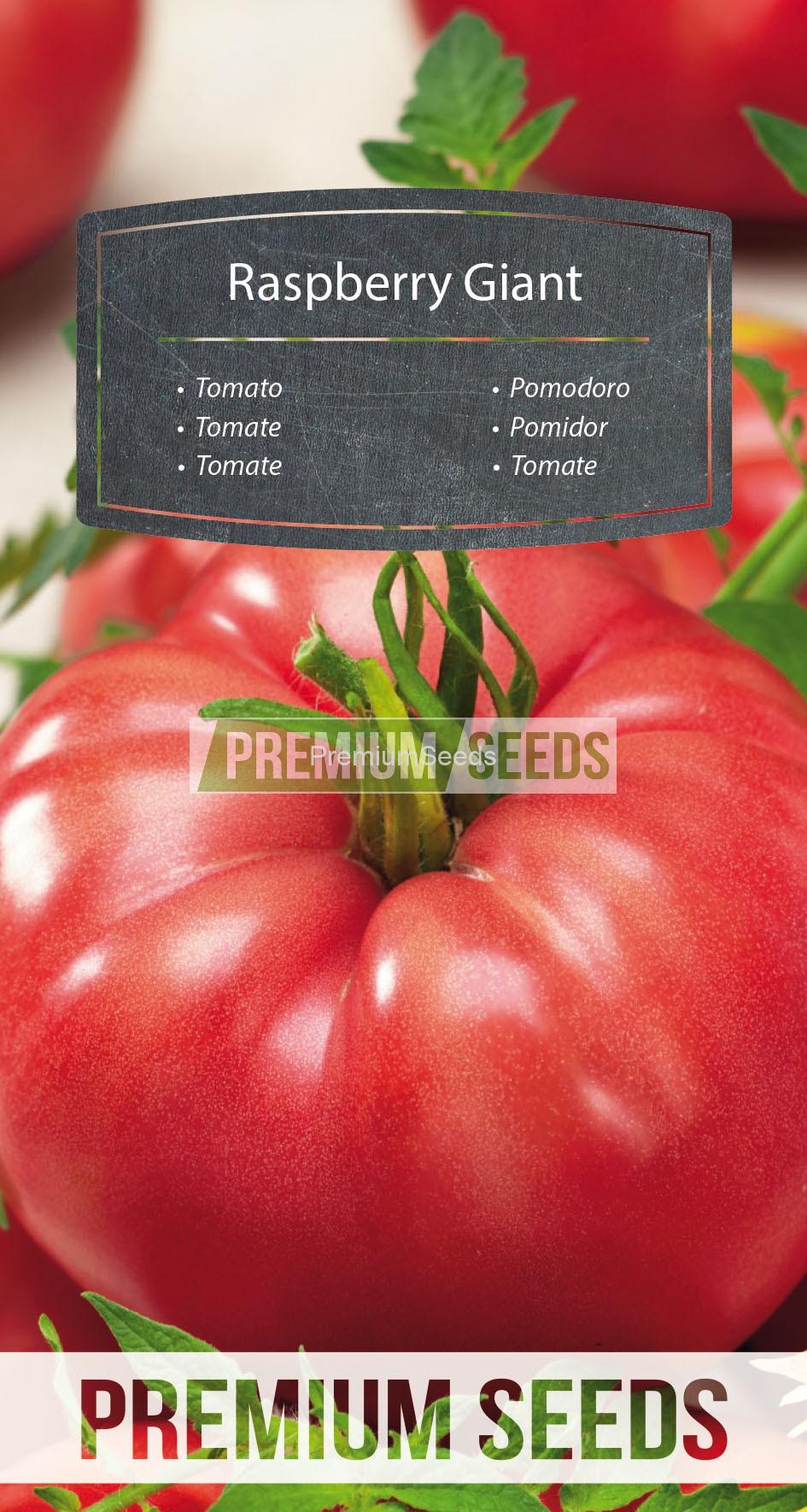 88_WORLD N1712495_RGB_VS Tomate Raspberry Giant - Samen