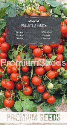 Tomate Mascot - semence