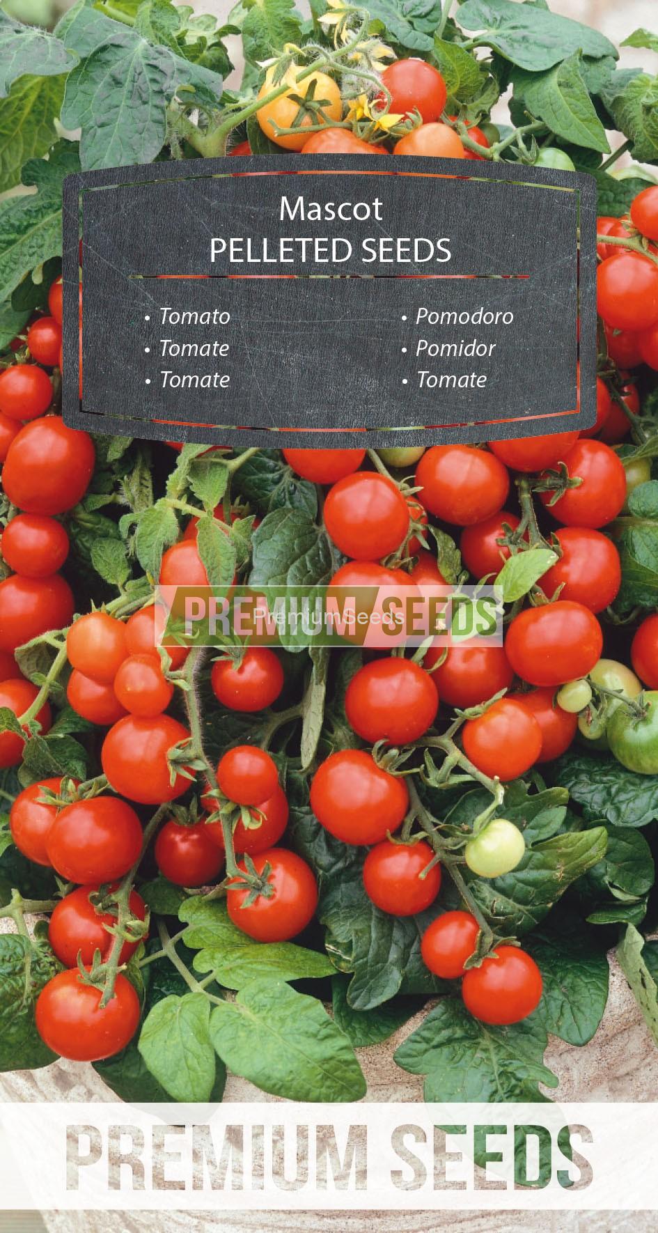 90_WORLD N1700594_RGB_VS Tomate Mascot - PILLITIERTES SAMEN