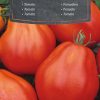 Pomodoro Red Pear - seme