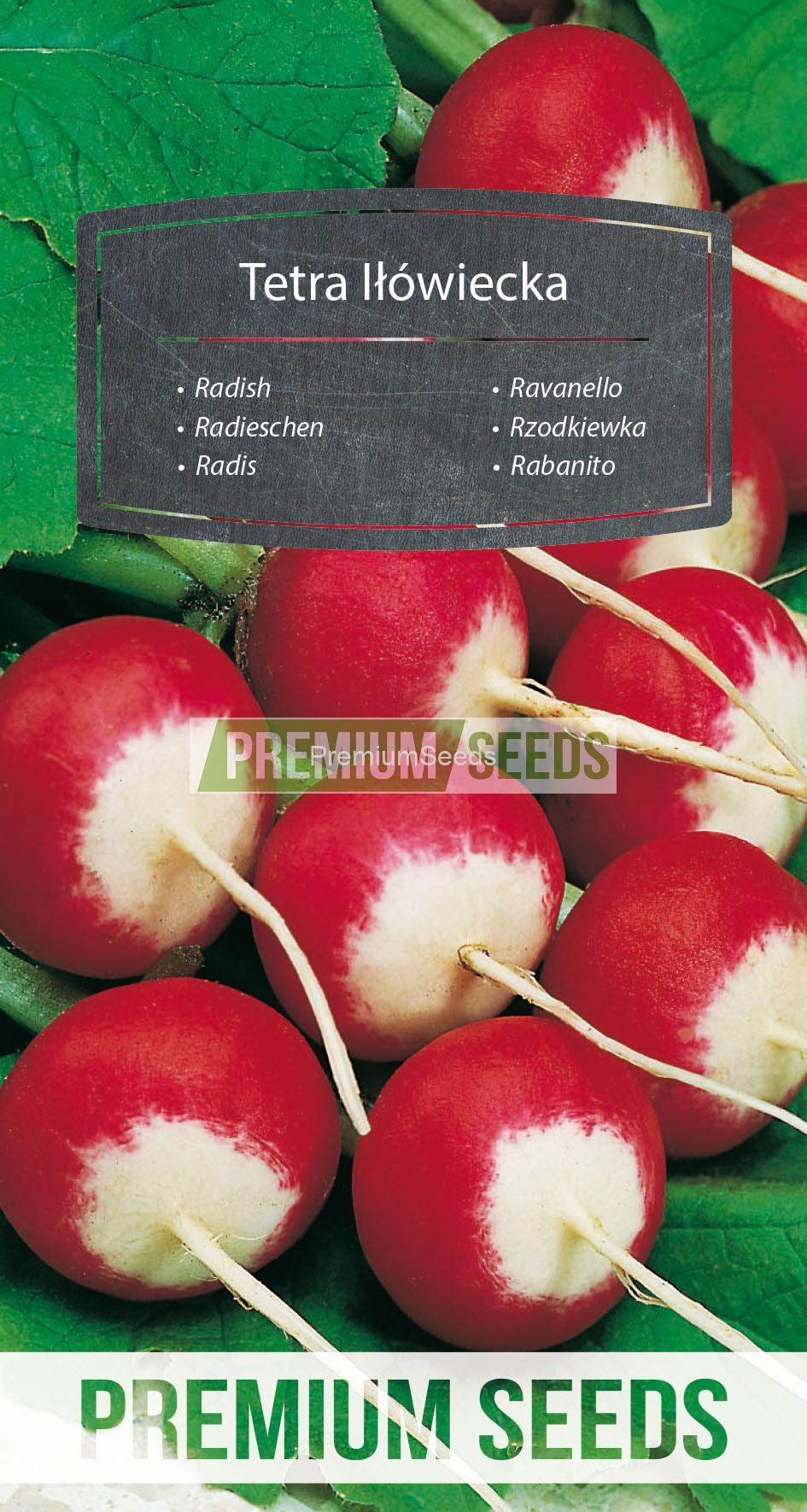 94_WORLD 10047846_RGB_VS