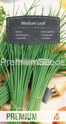 Cebollino Medium Leaf - semillas