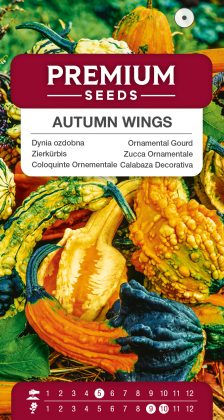 Ornamental Gourd Autumn Wings – seeds