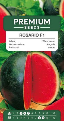 Watermelon Rosario – seeds