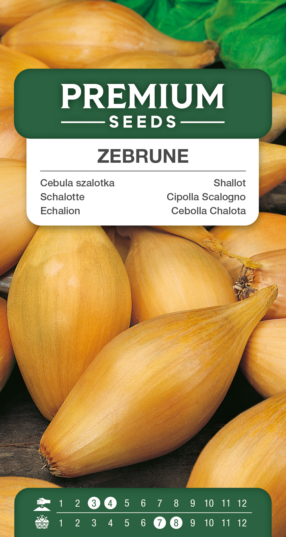SWIA-WO-GE-11006_VS Shallot Zebrune – seeds