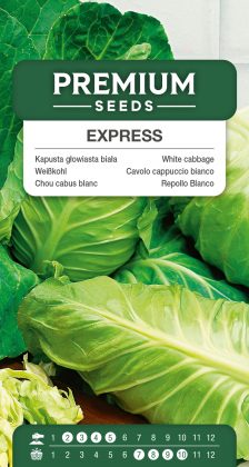 White cabbage Express – seeds