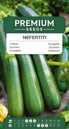 Courgette Nefertiti – seeds