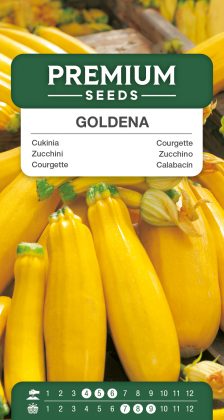 Courgette Goldena – seeds