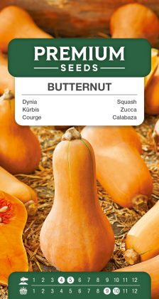 Squash Butternut – seeds