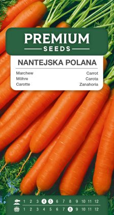 Carrot Nantejska Polana – seeds