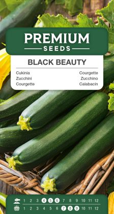 Courgette Black Beauty – seeds