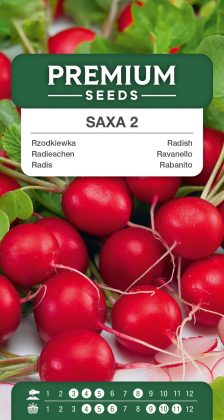 Radish Saxa 2 – seeds