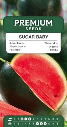 Watermelon Sugar Baby – seeds