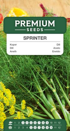 Dill Sprinter – seeds