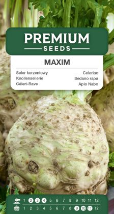 Celeriac Maxim – seeds