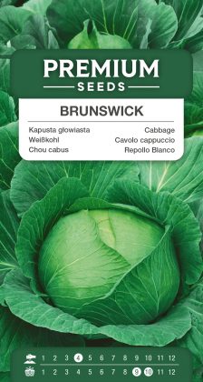 White Cabbage Brunswick – seeds
