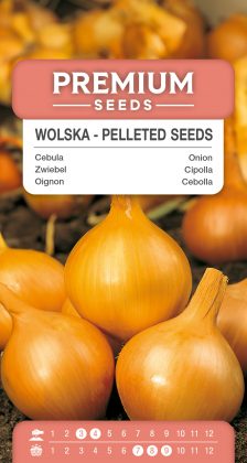 Onion Wolska – PELLETED SEEDS