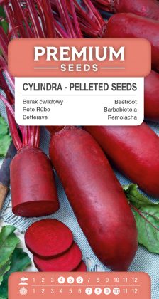 Cylinder Beetroot – PELLETED SEEDS
