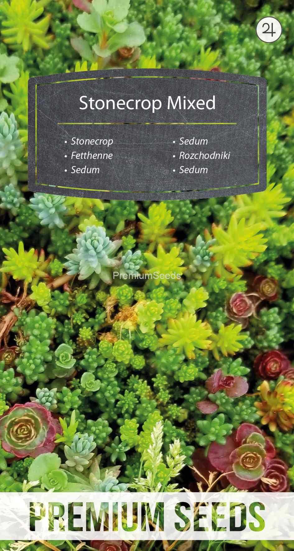 WORLD 001_VS Sedum Mélange - semences