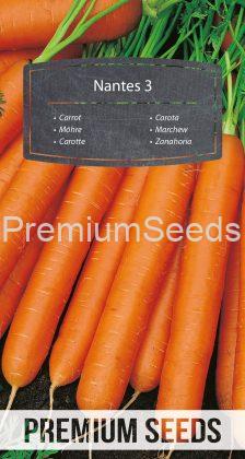 Zanahoria NANTES 3 (Nantejska) - semillas