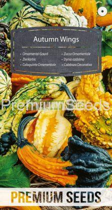 Zucca Ornamentale Autumn Wings - semi