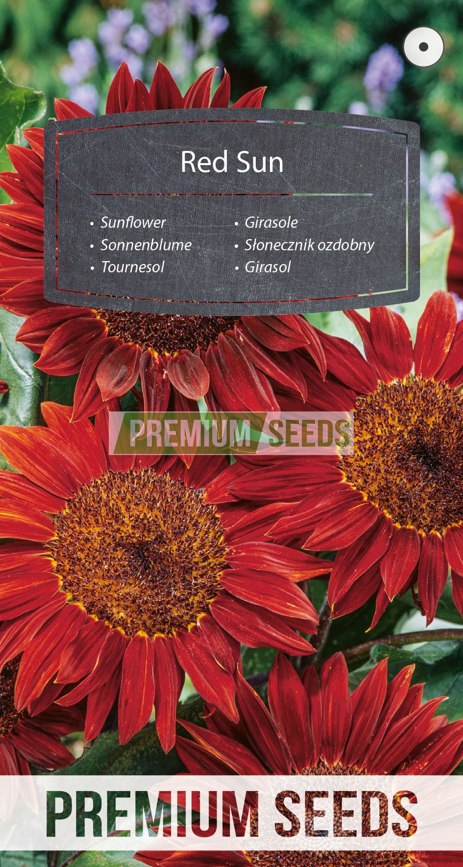 Girasol - Red Sun - productor de semillas - PremiumSeeds