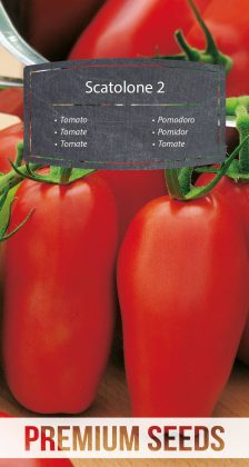 Tomate Scatolone 2 - semillas