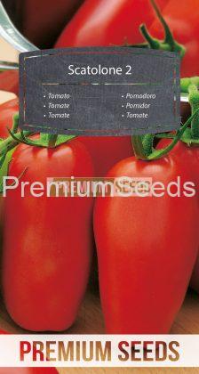 Tomate Scatolone 2 - Samen