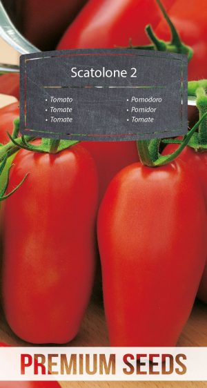Tomate Scatolone 2 - Samen