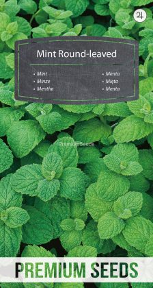Menta de hoja redonda - semillas