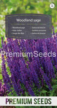 Salvia de bosque - semillas