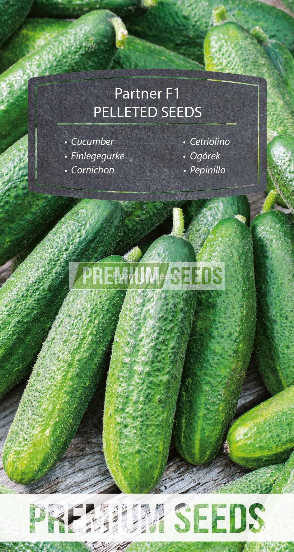 WORLD 14239622PA_PELLETED_RGB_VS Cetriolino Partner F1 - SEMI PELLETTATI