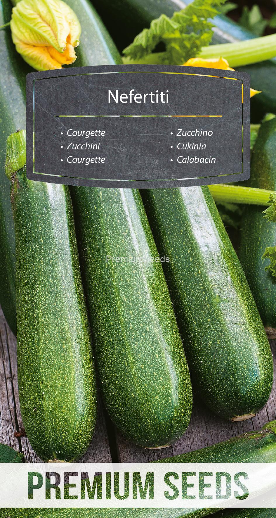 WORLD 14239721PA.indd Zucchino Nefertiti – semi