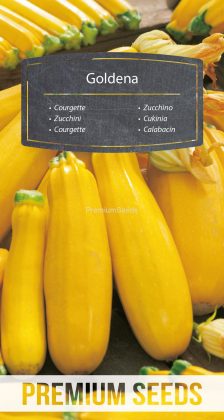 Calabacín Goldena - semillas