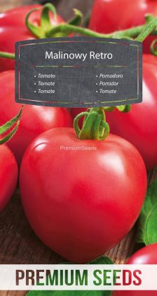 Tomate Raspberry Retro - semillas