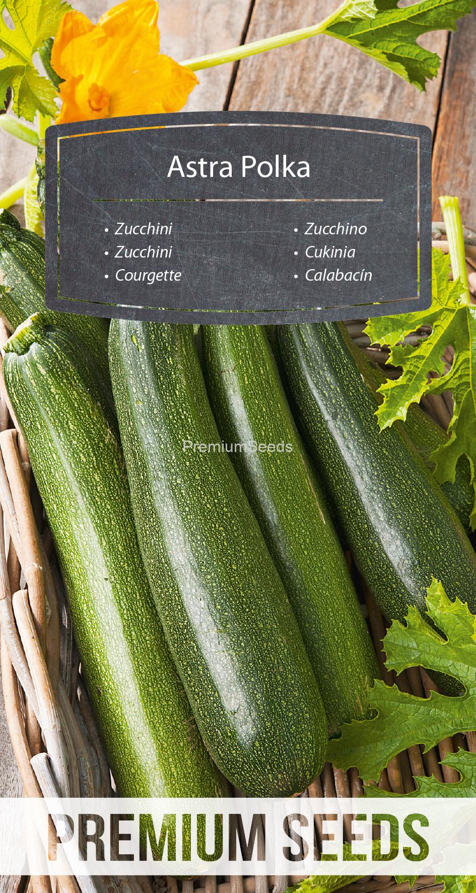 WORLD 14301811PA.indd Courgette Astra Polka – semences