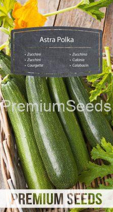 Zucchini Astra Polka - Samen