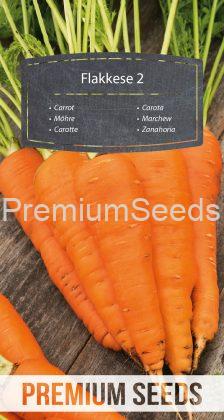 Zanahoria Flakkese 2 – semillas