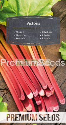Rhubarbe Victoria - semences
